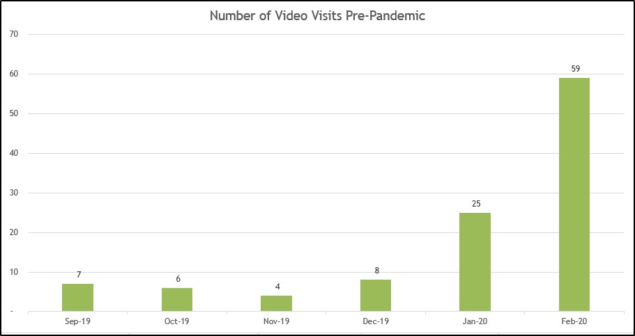 Figure 1 Video Visits Pre Pandemic